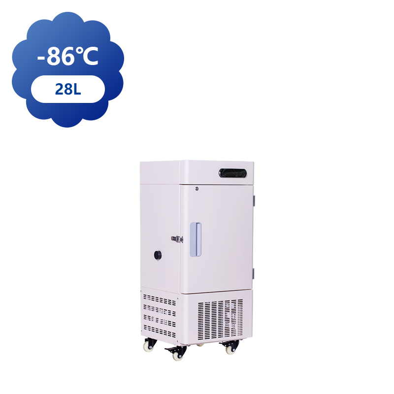 28L Ultra-Low Temperature Freezer (-86°C)-Basic Type